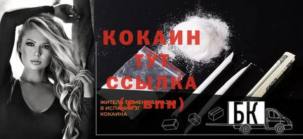 стаф Вязьма