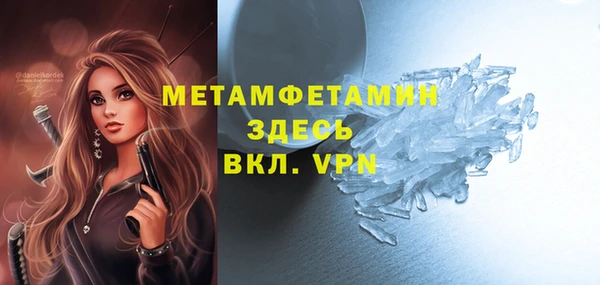 стаф Вязьма