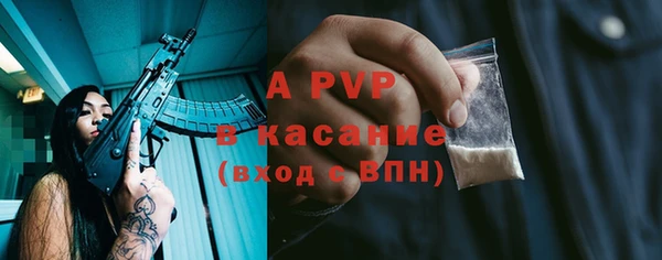 стаф Вязьма