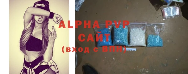 стаф Вязьма