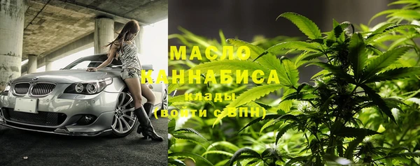 стаф Вязьма