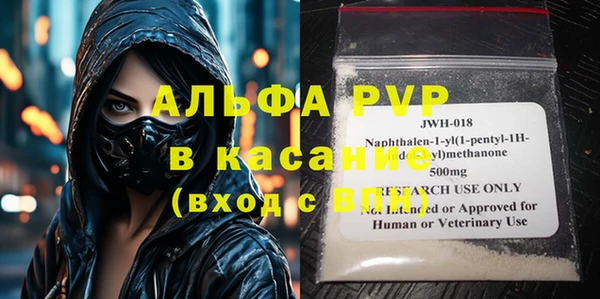 стаф Вязьма