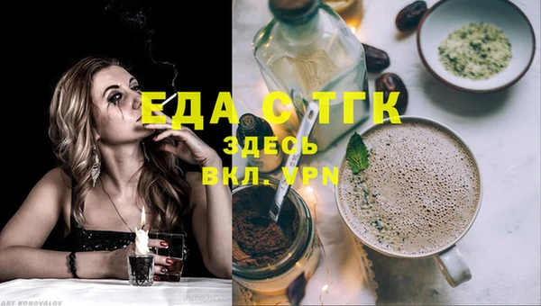 стаф Вязьма