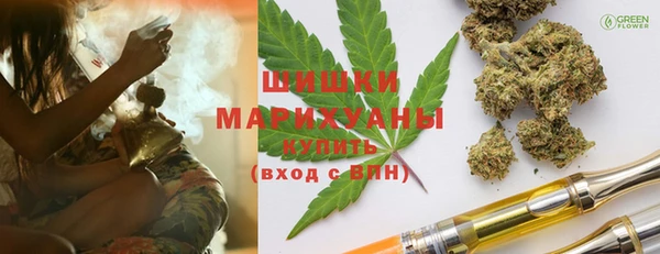стаф Вязьма